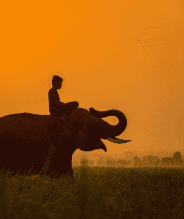 Thailand / Salted Senses