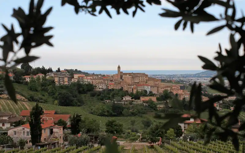Le Marche Italië / Salted Senses