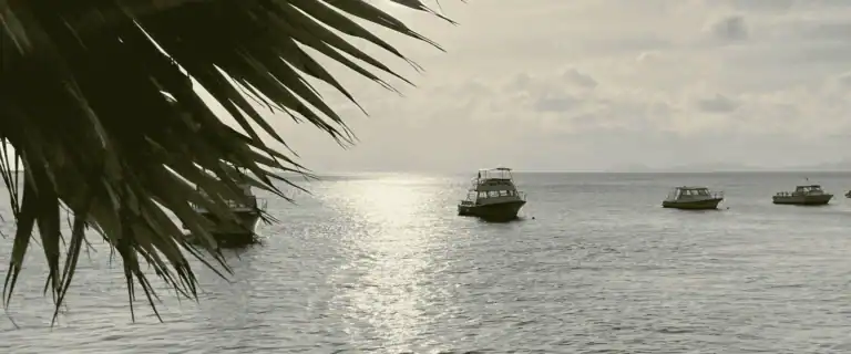 Luxe vakantie Bonaire / Salted Senses