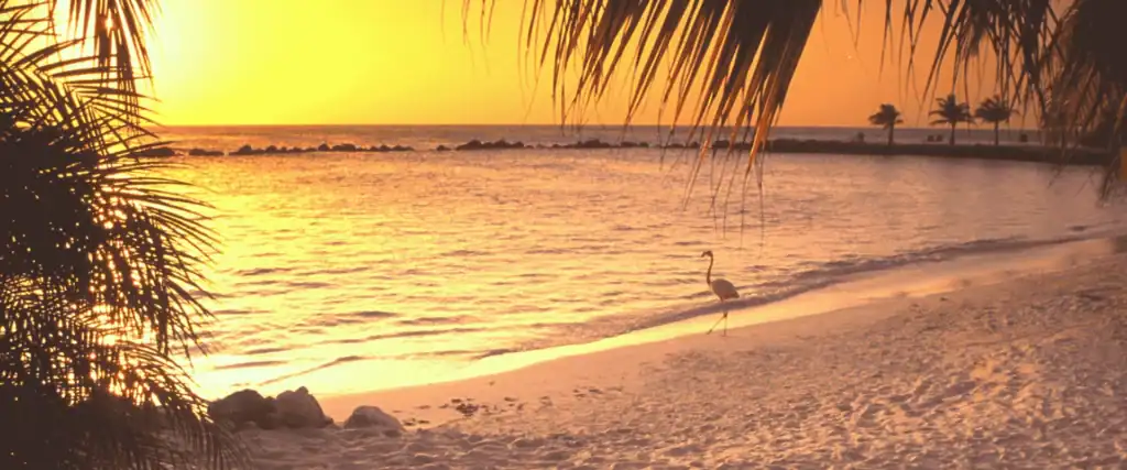 Eagle Beach of Palm Beach op Aruba / Salted Senses