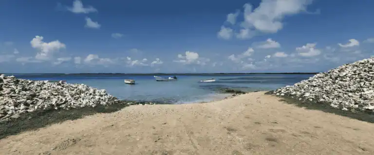 Wat te doen op Bonaire? / Salted Senses