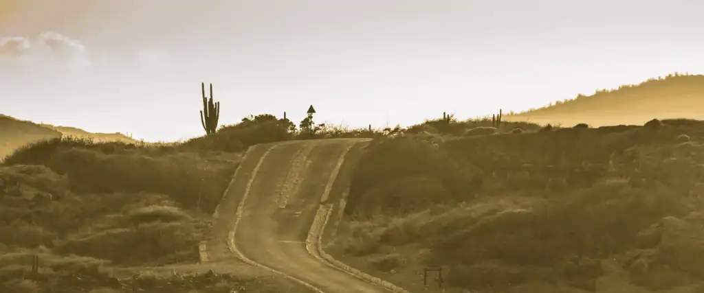 Banner wat te doen op Aruba / Salted Senses