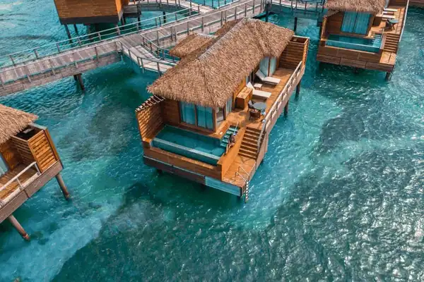 Princess Senses The Mangrove Waterbungalow Jamaica / Salted Senses