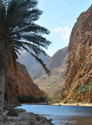 Wadi Oman / Salted Senses