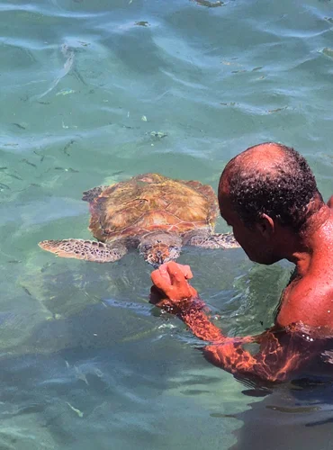 Schildpad voeren Curacao / Salted Senses